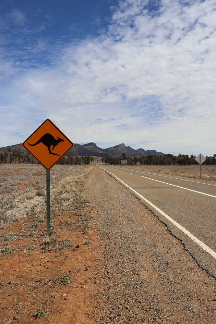 Chaîne de Flinders, Australie
